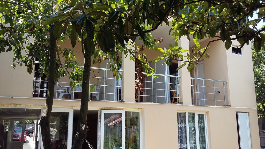 Guesthouse Mery كوبوليتي المظهر الخارجي الصورة